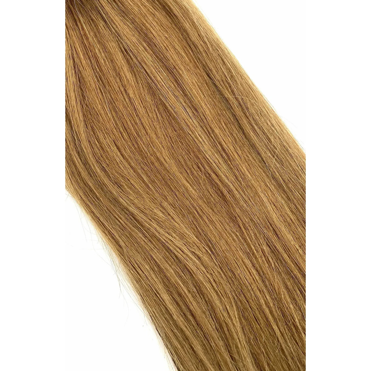 8 - Medium Ash Brown