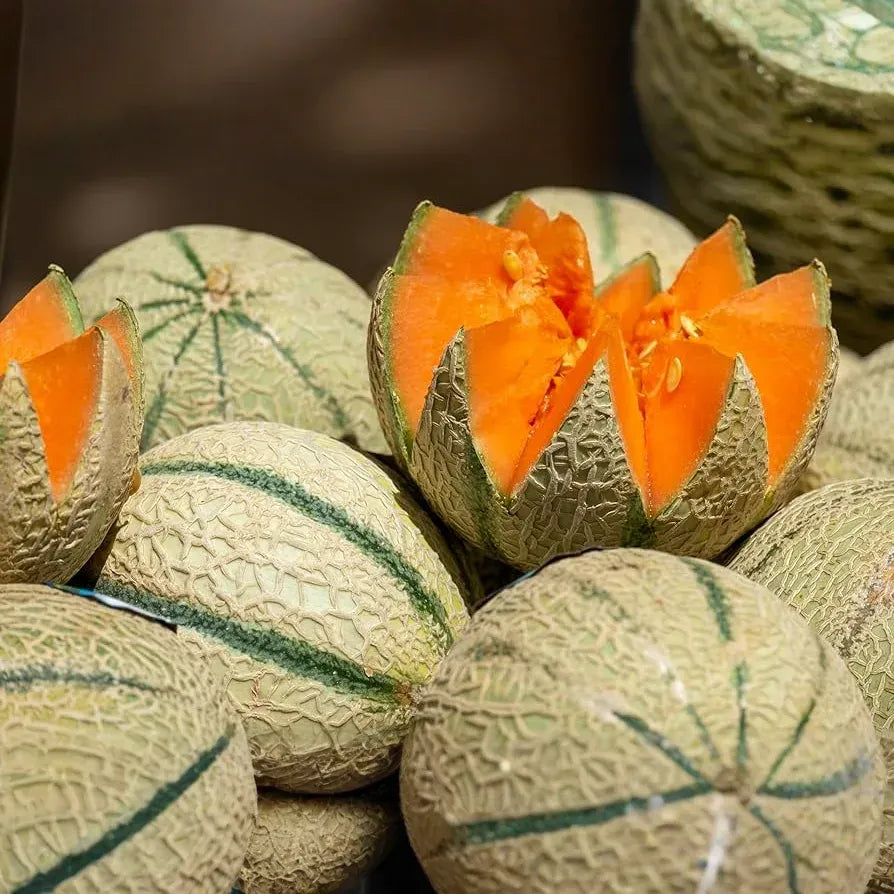 Charentais Melon Seeds - Heirloom, Non-GMO - 85 Days to Maturity - Super Sweet & Fragrant - USDA Zones 2-10 - Perfect for Desserts