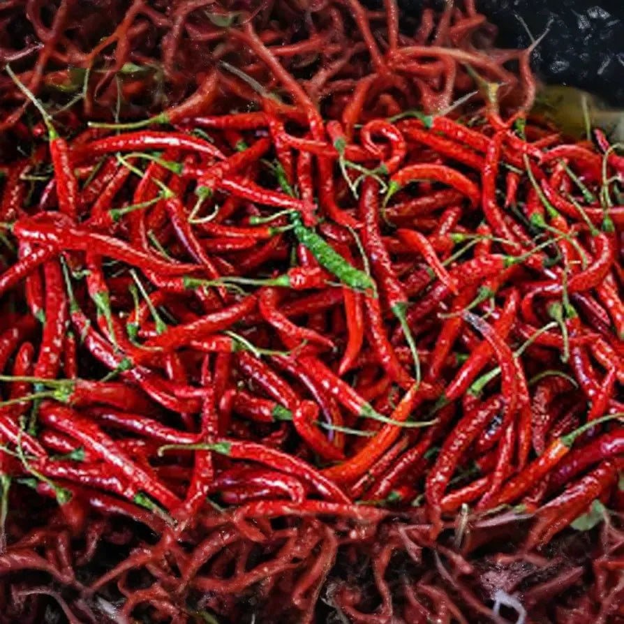 30 Seeds Cayenne Long Thin Pepper, Capsicum Annuum, Spicy Chili for Cooking and Drying