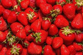 Jewel Strawberry - Fragaria x ananassa - Bare Root Strawberry Plants