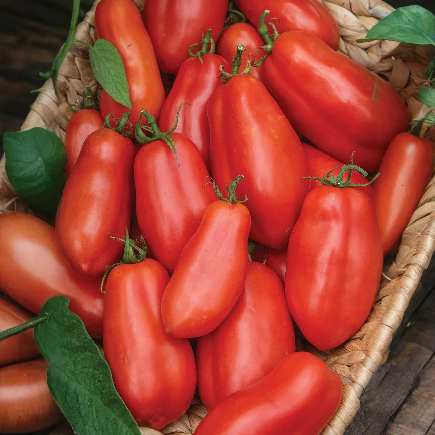 Tomato San Marzano Seeds – 100mg for Planting, Heirloom Variety, Meaty & Flavorful, High Yield, Great for Sauces Canning, Garden Containers