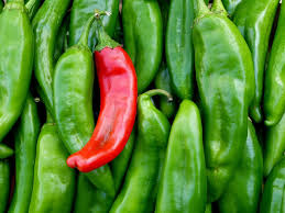 Sandia Hot Pepper Seeds – 250mg for Planting, Medium-High Heat, New Mexico Chili, High Yield, Great for Roasting, Drying & Salsas