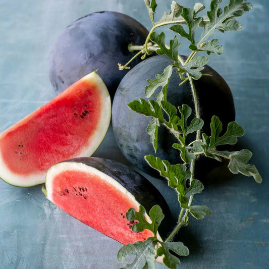 Sugar Baby Watermelon (25 Seeds), Heirloom Vegetables