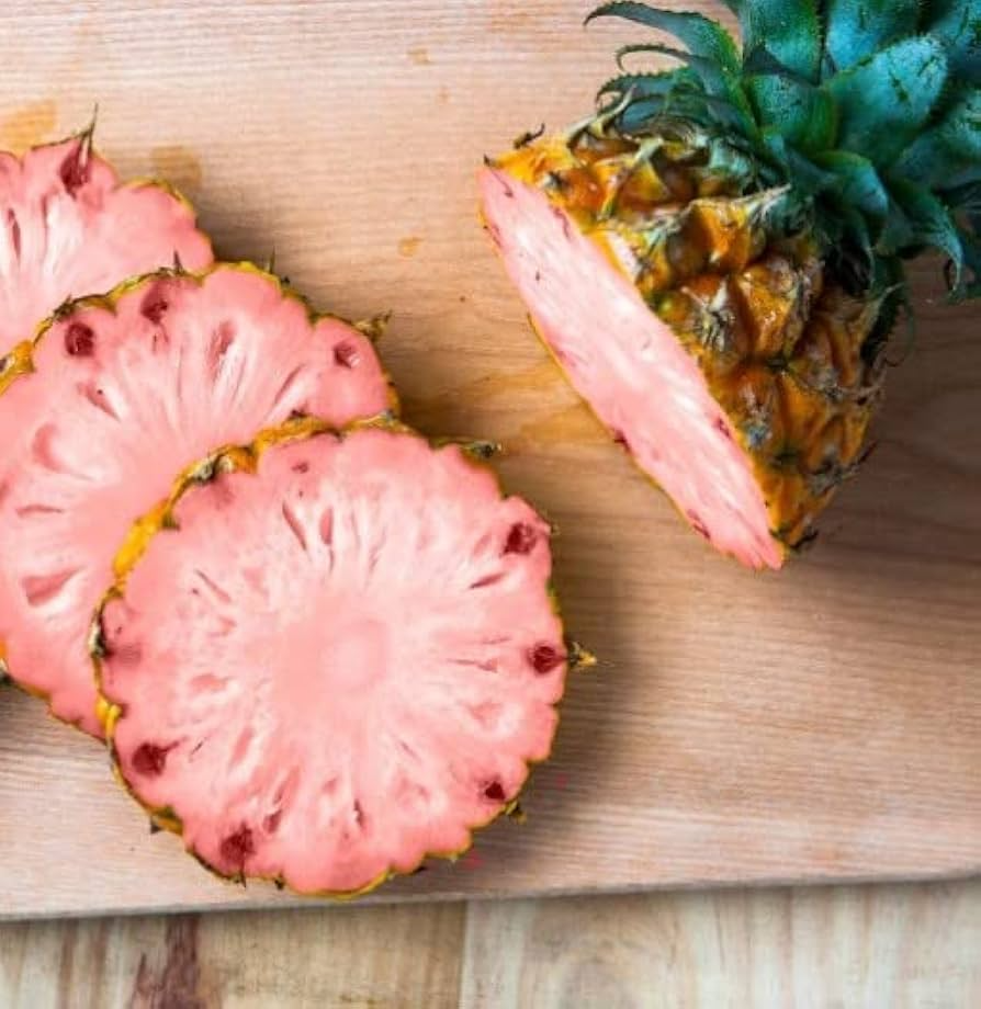 Pinkglow Pineapple Seeds - 15+ Rare Tropical Seeds - USA Grown -  - Exotic Fruit Plant - Sweet Pink Flesh - Home Garden