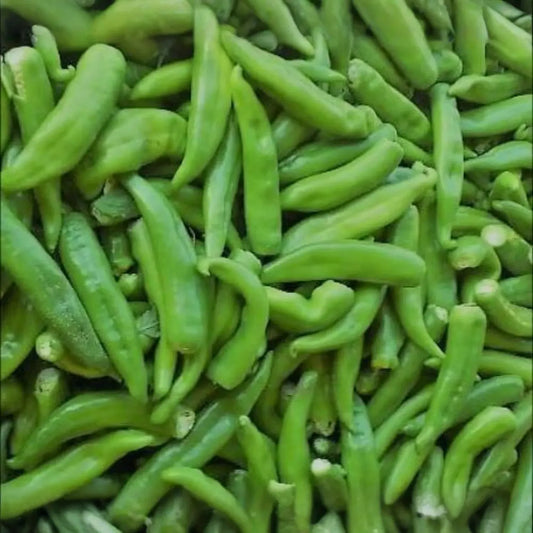 Hatch Rattlesnake Hot Pepper Seeds – 250mg for Planting, Medium Heat Chili, High Yield, Great for Roasting, Grilling & Salsas