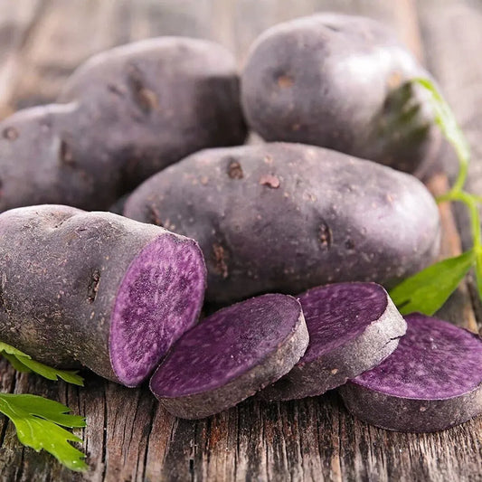 Blue Adirondack Seed Potatoes - USDA Certified, 500g Purple Potatoes for Planting, Nutrient-Rich, Vibrant & Versatile for Home Gardens