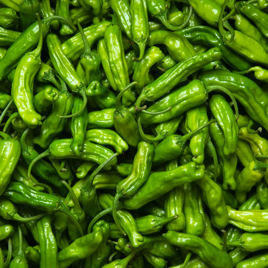 Shishito Pepper Seeds - Heirloom, Non-GMO - 65 Days to Maturity - Mild & Sweet Japanese Peppers - USDA Zones 4-10 - Perfect for Grilling
