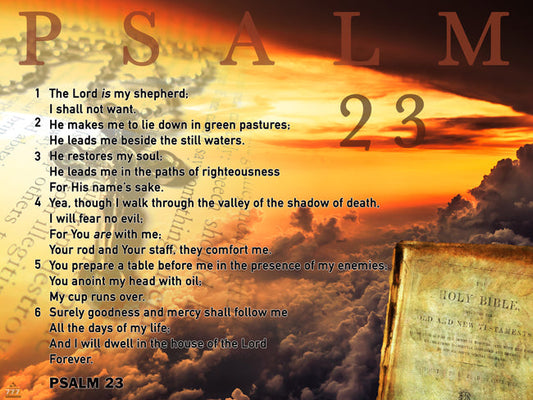 Psalm 23 Poster Bible Scripture Quote Inspirational Art Print (24"x18")