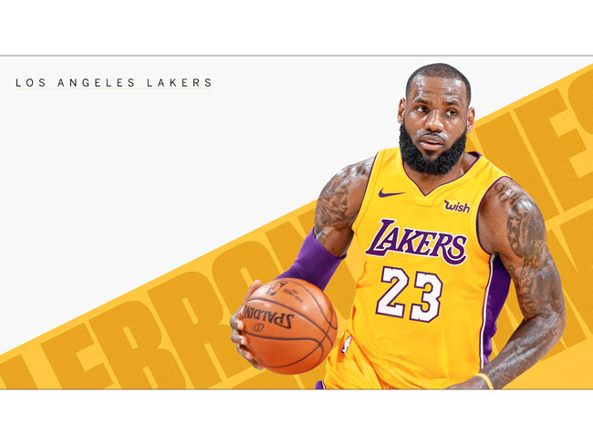 LeBron James Poster Los Angeles Lakers 23 Photo Wall Art Print (24"x18")