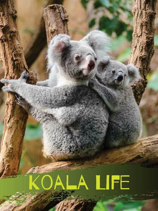 Koala Bear Poster Koala Life Wall Art Print (18"x24")