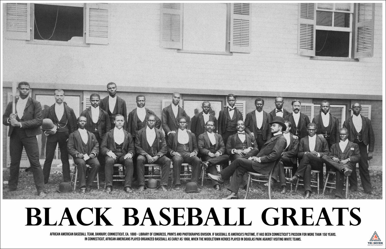 Black Baseball Greats Poster African American History Print (17"x11")