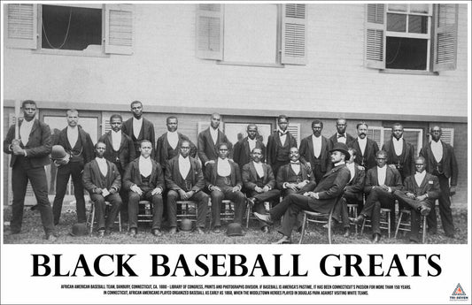 Black Baseball Greats Poster African American History Print (17"x11")