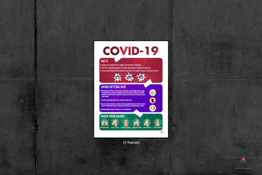 COVID-19 Poster Facts Coronavirus Protection Wall Print (18"x24")