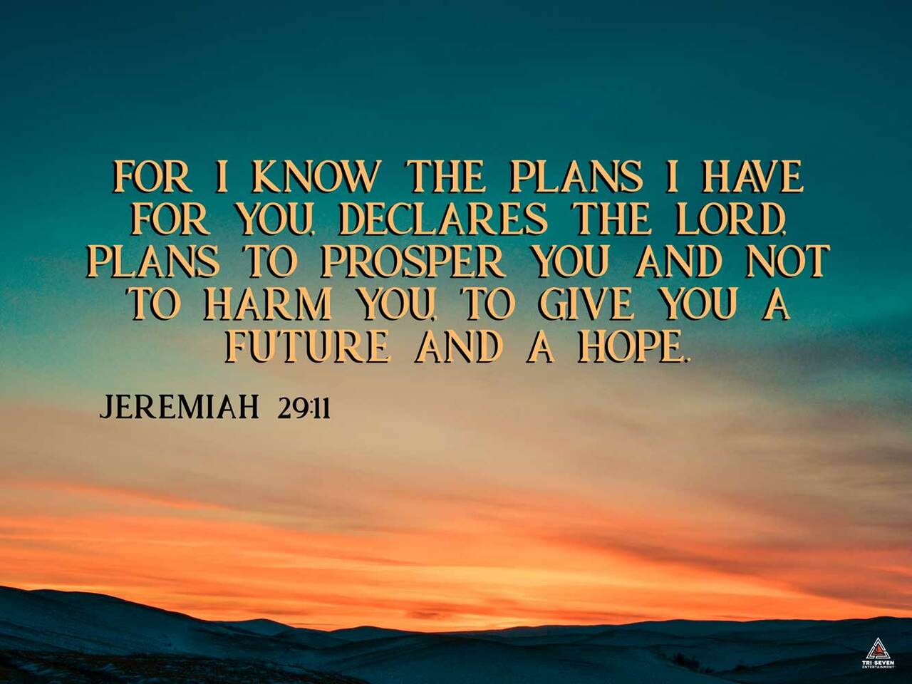 Jeremiah 29:11 Poster A Future and A Hope Bible Verse Quote Wall Art (24"x18")