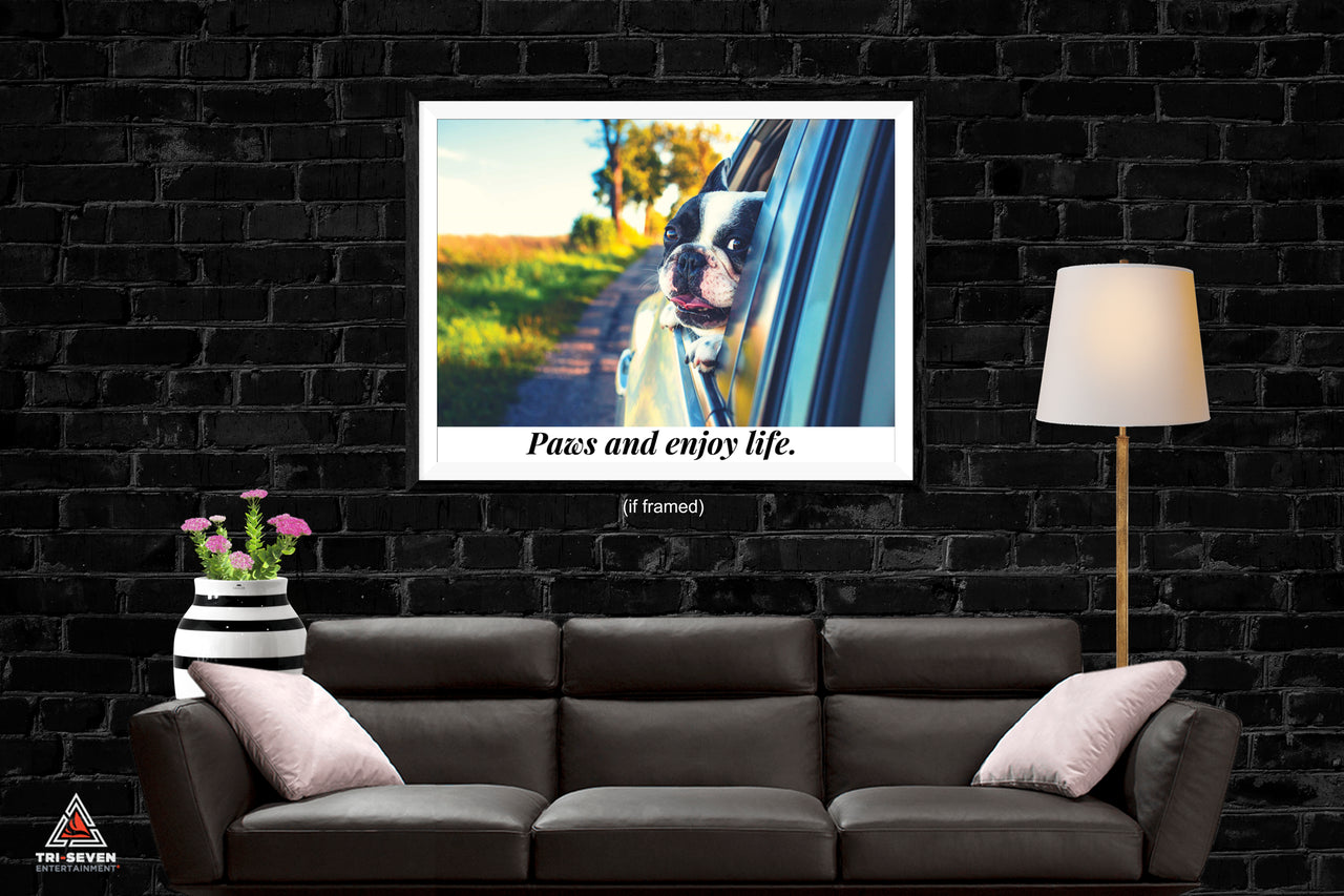Paws and Enjoy Life Dog Poster Bulldog Wall Print (24"x18")