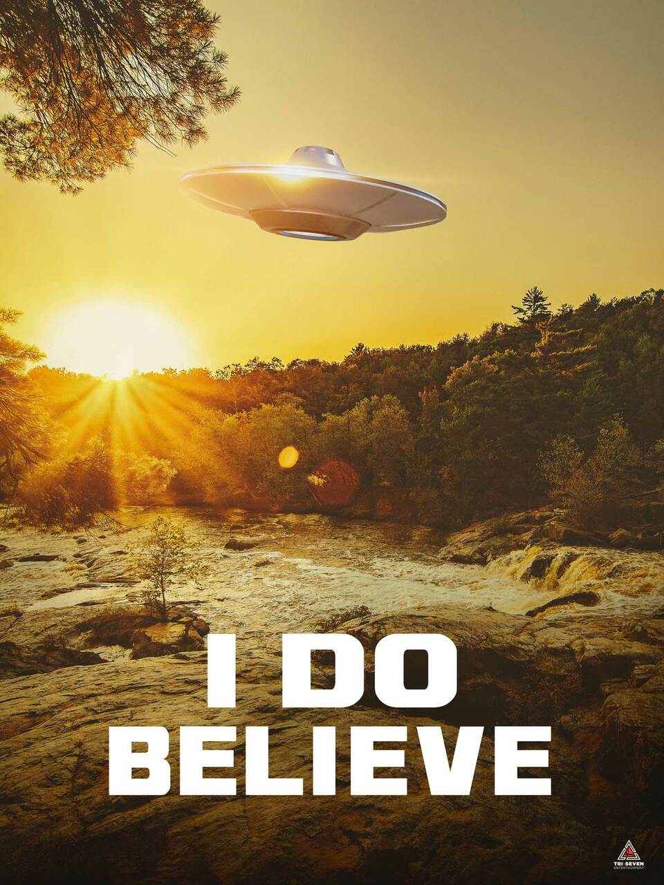 I Do Believe Poster UFO Alien Truth is Here Wall Art Print (18"x24")
