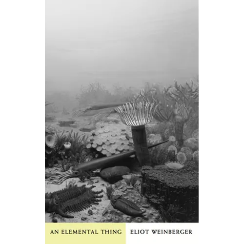 An Elemental Thing