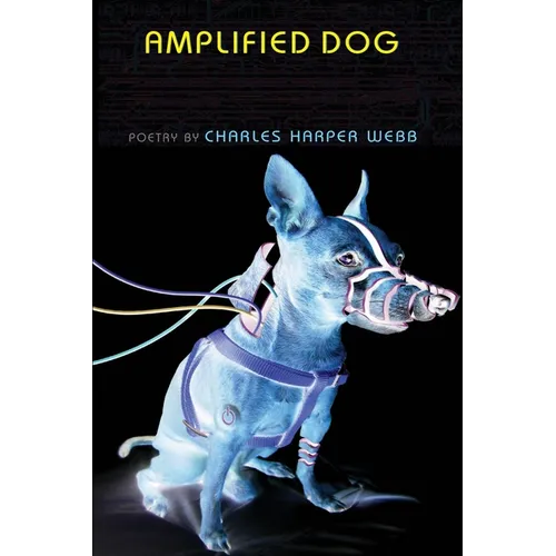 Amplified Dog