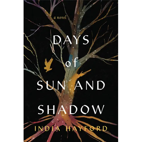 Days of Sun and Shadow
