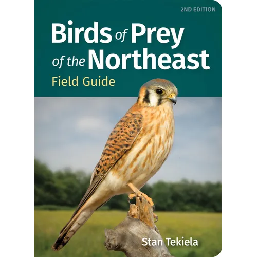 Birds of Prey of the Northeast Field Guide