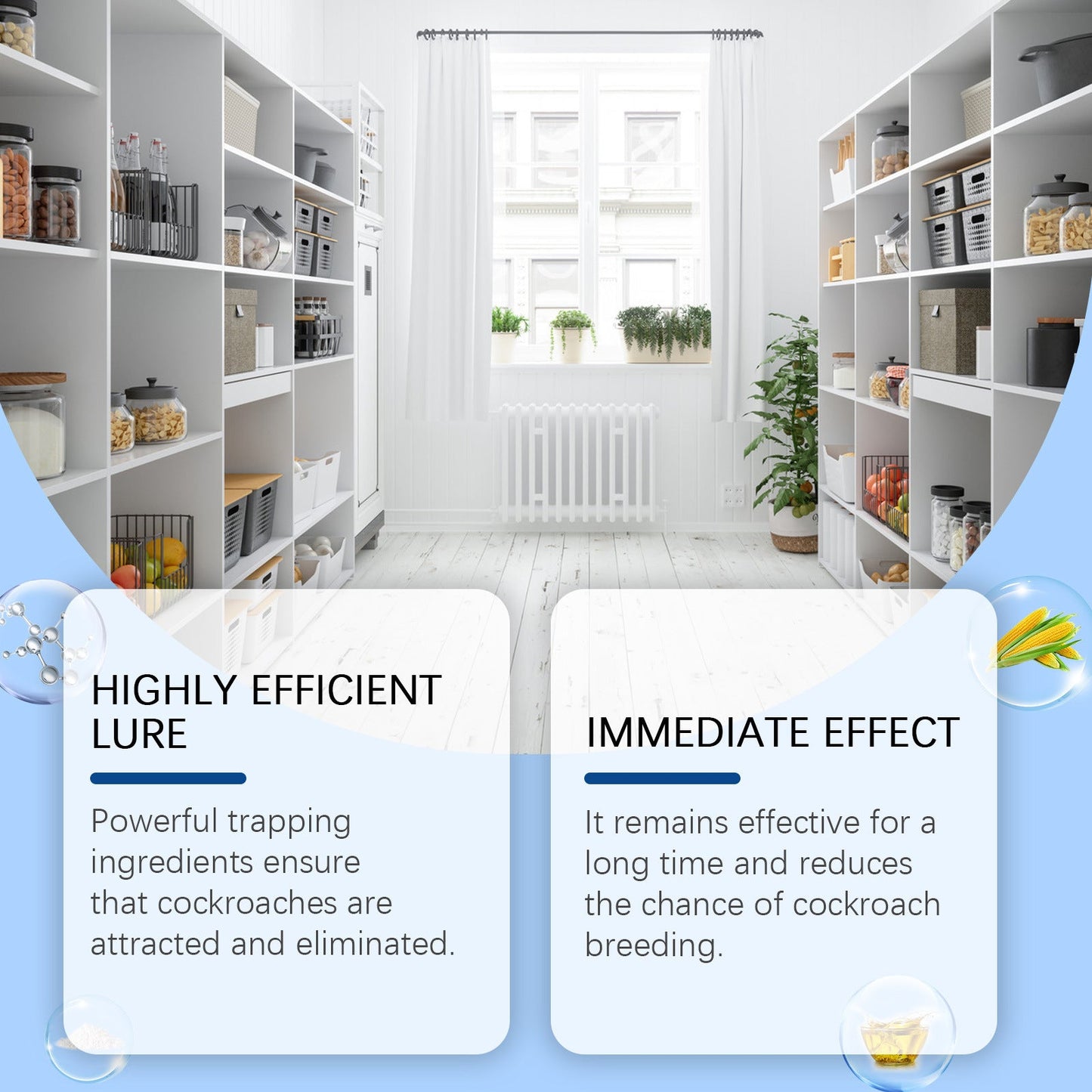 Cockroach Bait Stickers for Effective Roach Control