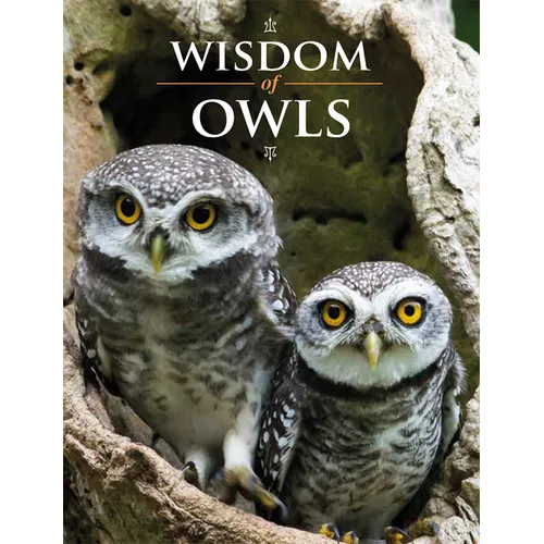 Wisdom of Owls