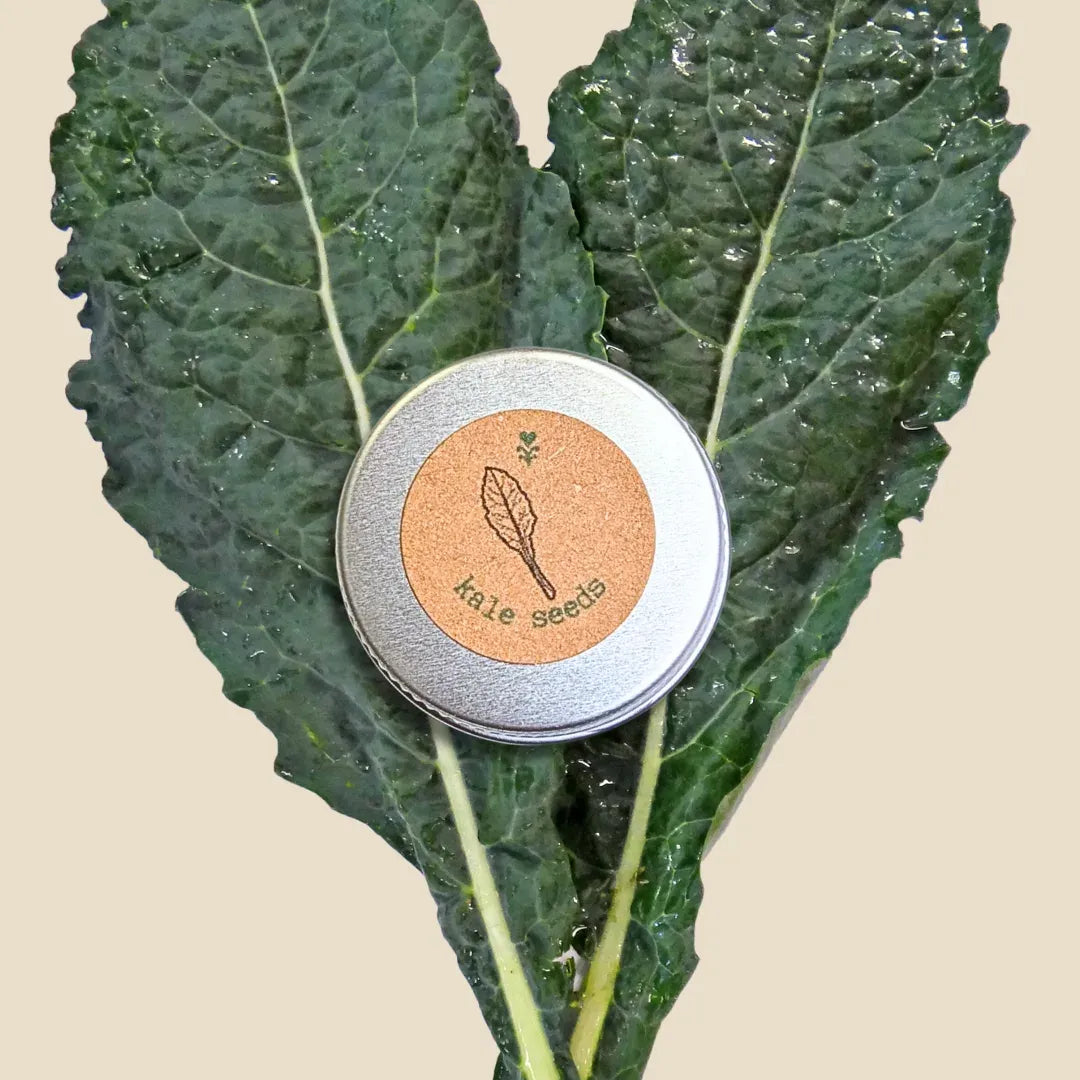 Organic Kale Seeds