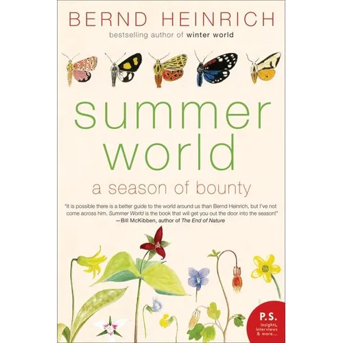 Summer World