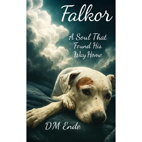 Falkor A Soul That Found His Way Home