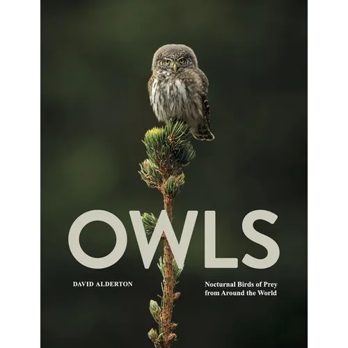 Owls: Nocturnal Birds of Prey from Around the World