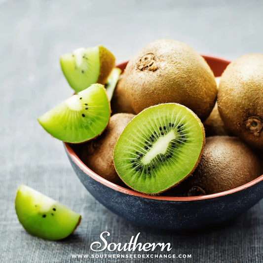 Kiwi Fruit – 100 Seeds