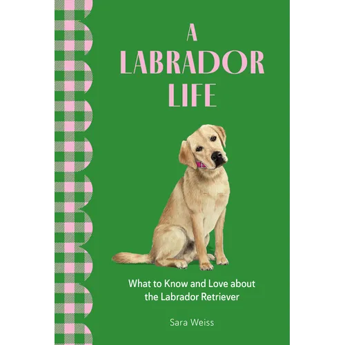 A Labrador Life: What to Know and Love about the Labrador Retriever