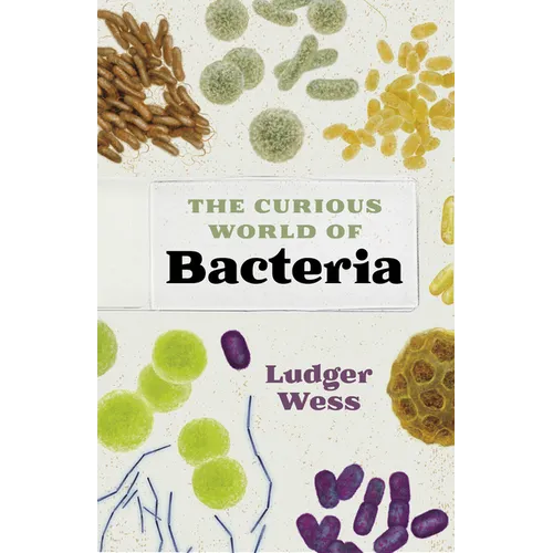 The Curious World of Bacteria