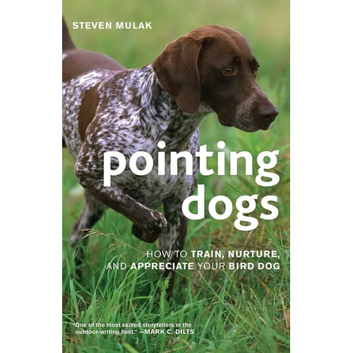 Pointing Dogs: How to Train, Nurture, and Appreciate Your Bird Dog - Paperback