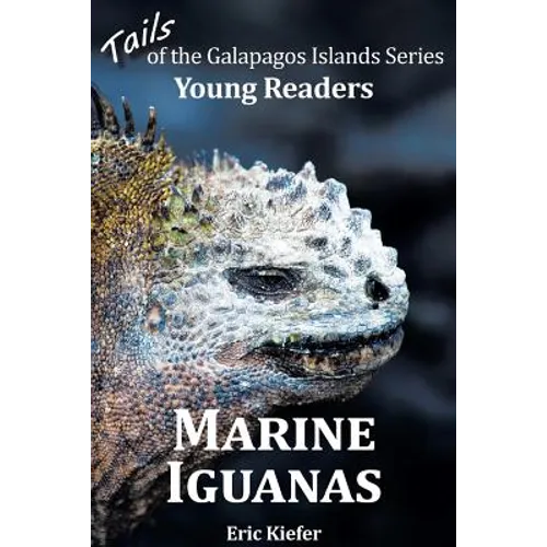 Marine Iguanas - Tails of the Galapagos Islands Series