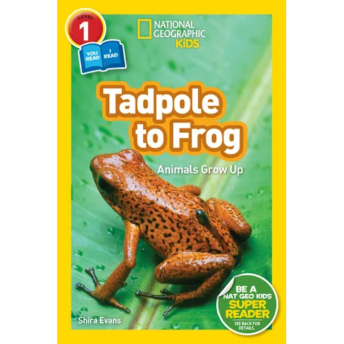 Tadpole to Frog (National Geographic Kids Readers, Level 1/Co-Reader): Animals Grow Up