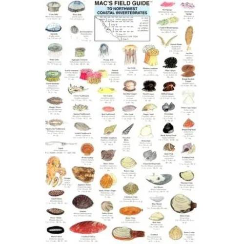 Mac's Field Guides: Northwest Coastal Invertebrates