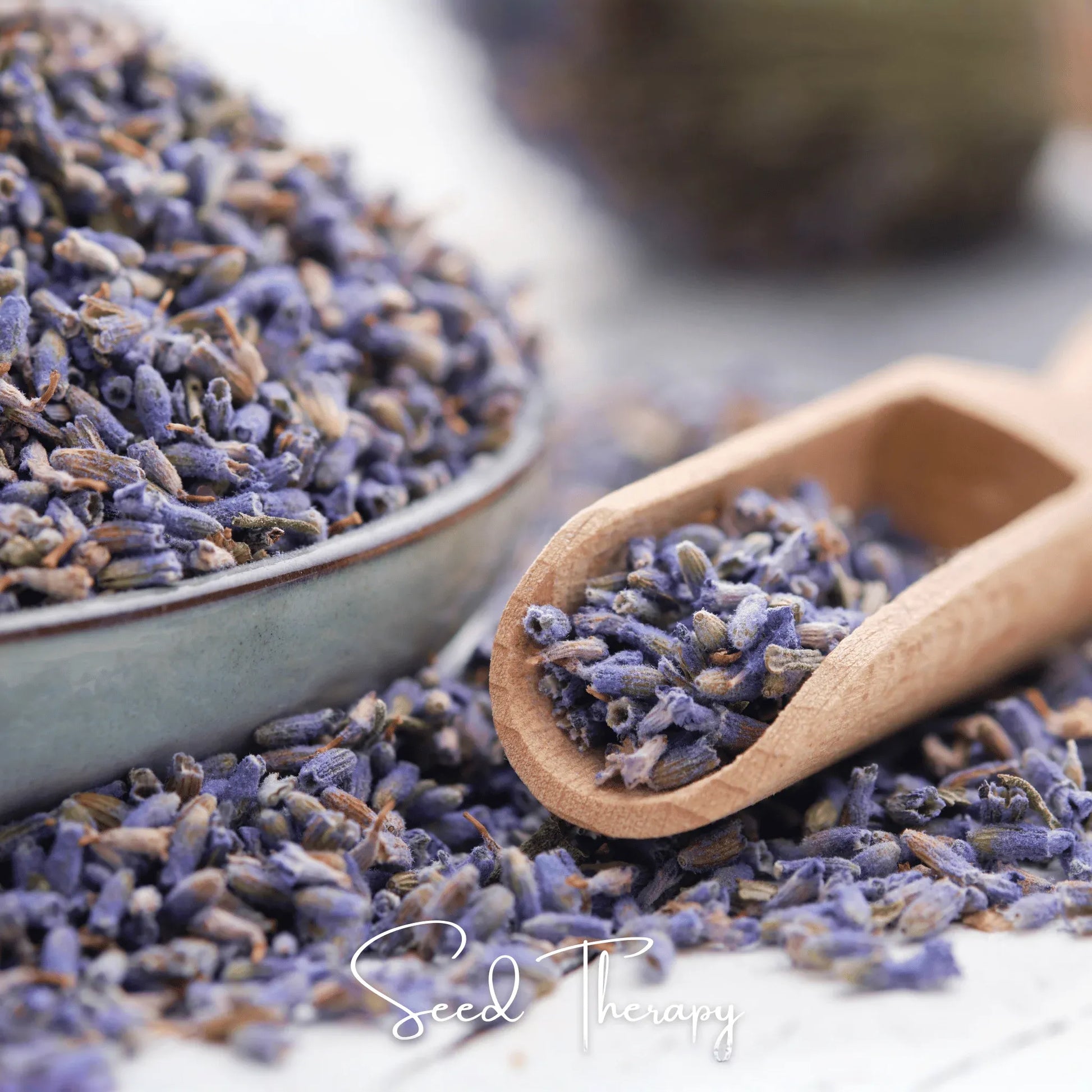 English Lavender – 100 Seeds