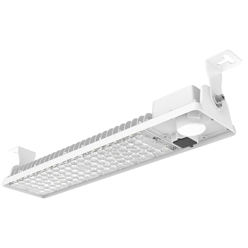 LED Cold Storage High Bay Light 200W/150W/100W Watt Tunable 5000K 120-277V IP66 -58°F Cold Room Warehouse Lighting