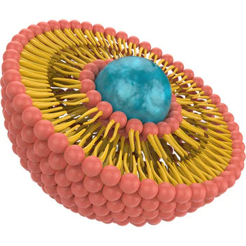 AHK-Cu Liposome Copper Tri-Peptide-3 Liquid 10%