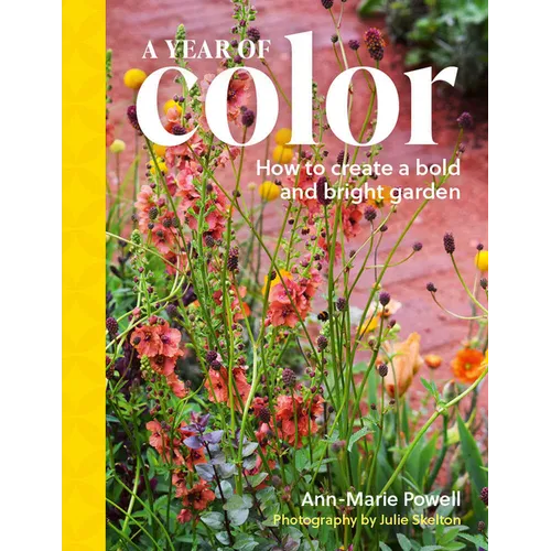 A Year of Color: How to Create a Bold and Bright Garden