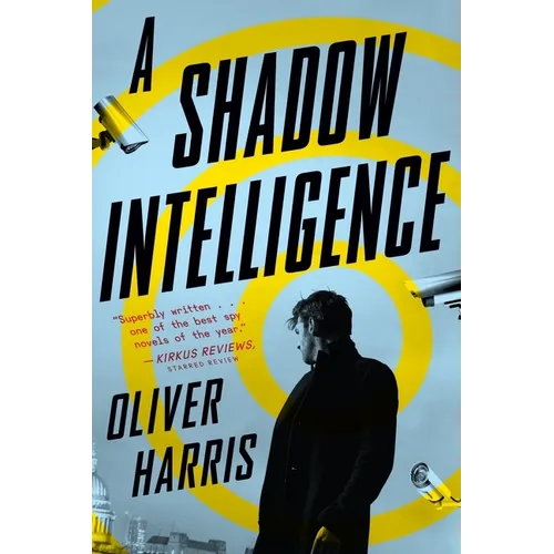 A Shadow Intelligence