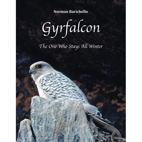 Gyrfalcon: The One Who Stays All Winter