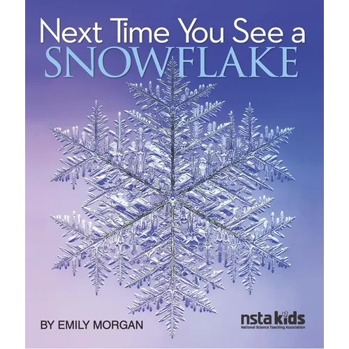 Next Time You See a Snowflake