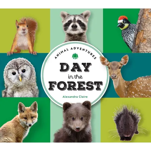 Animal Adventures: Day in the Forest