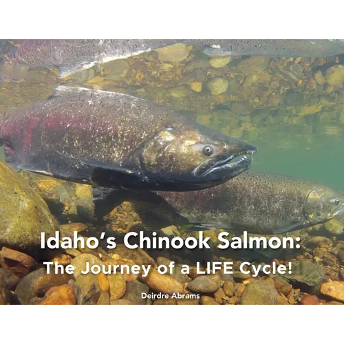 Idaho's Chinook Salmon: The Journey of a LIFE Cycle