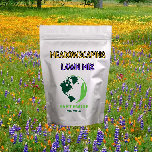 Meadowscaping Mix Alternative Lawn Seed — for Low-Maintenance, Eco-Friendly Lawns