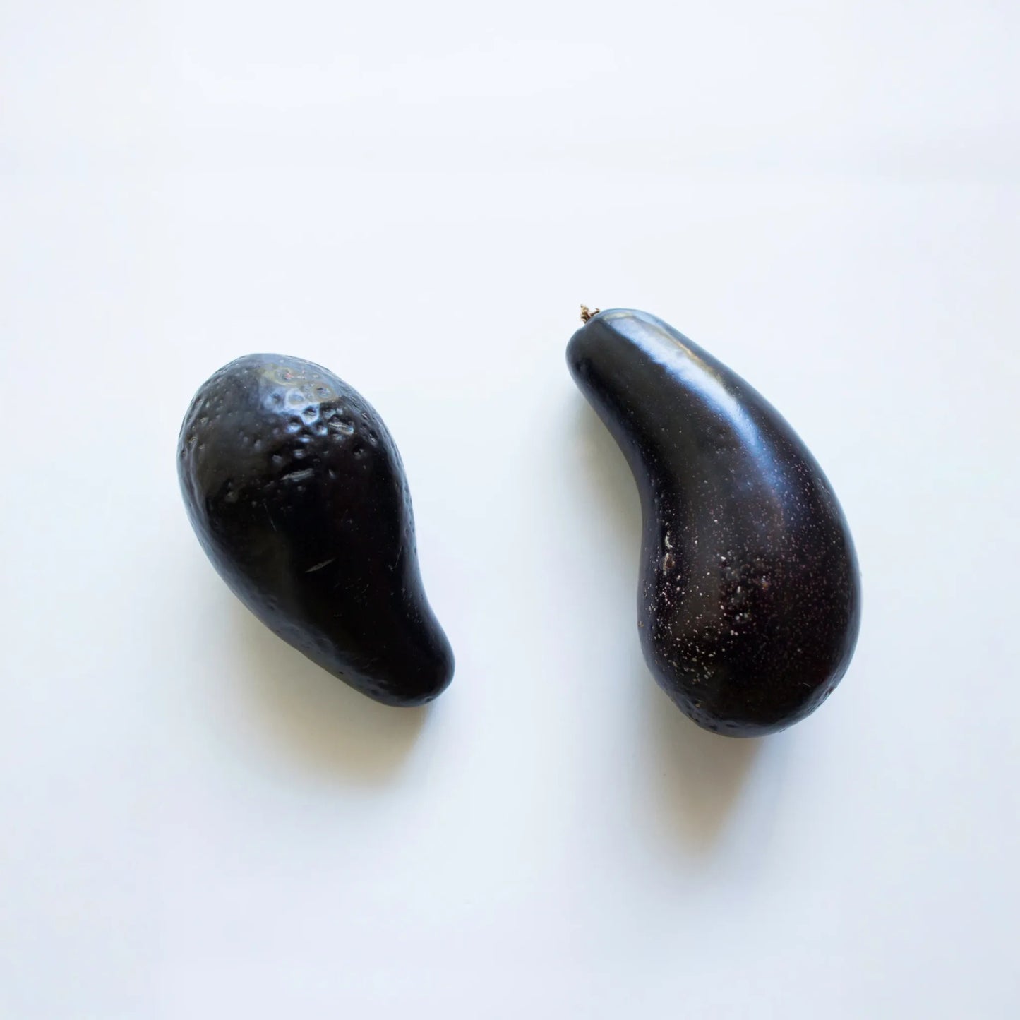 Avocado 'Mexicola' (Persea americana)