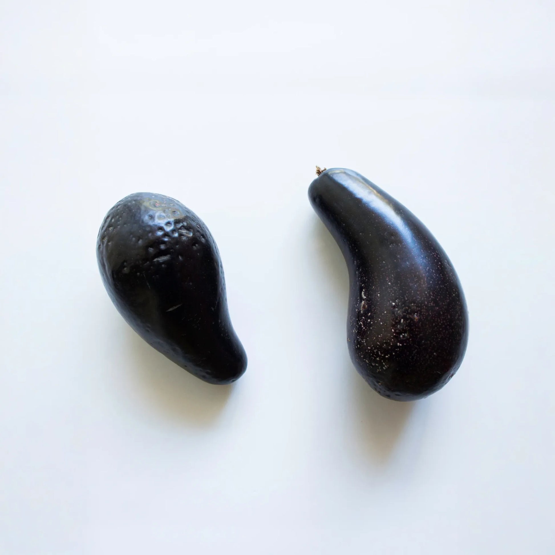 Avocado 'Mexicola' (Persea americana)