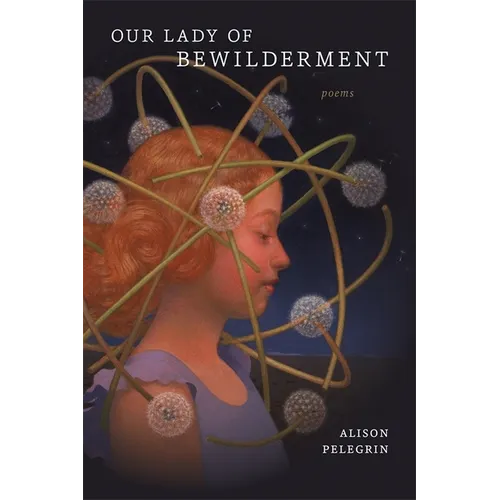 Our Lady of Bewilderment: Poems